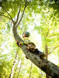 climbing_trees_youth_sports